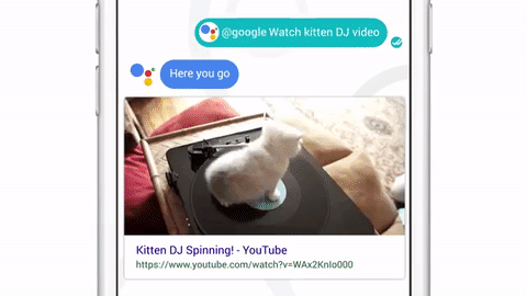 google_allo