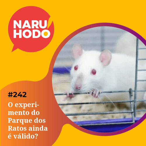 Capa podcast - O experimento do Parque dos Ratos ainda é válido? Capa - O experimento do Parque dos Ratos ainda é válido?
